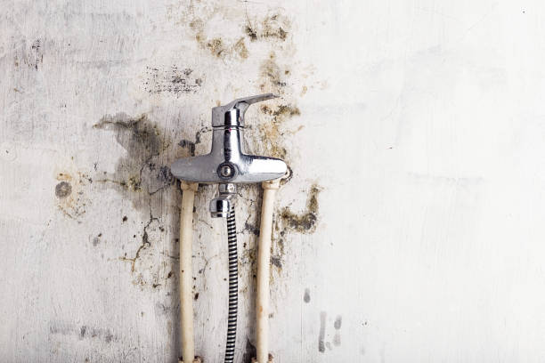 Best Home Mold Removal  in Amerin Nyon, CA