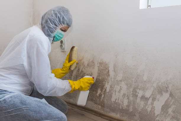 Best Water Damage Restoration  in Amerin Nyon, CA