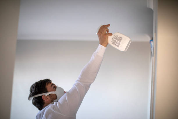 Best Mold Cleaning Services  in Amerin Nyon, CA