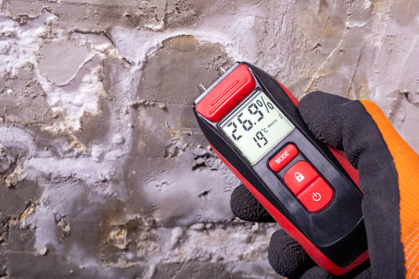 Home Mold Removal in American Canyon, CA