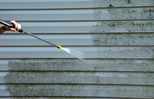 Best Mold Damage Repair  in Amerin Nyon, CA