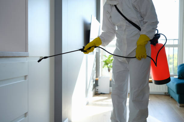 Crawl Space Mold Removal in American Canyon, CA