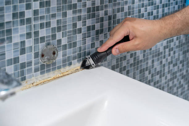 Mold Removal and Inspection in American Canyon, CA